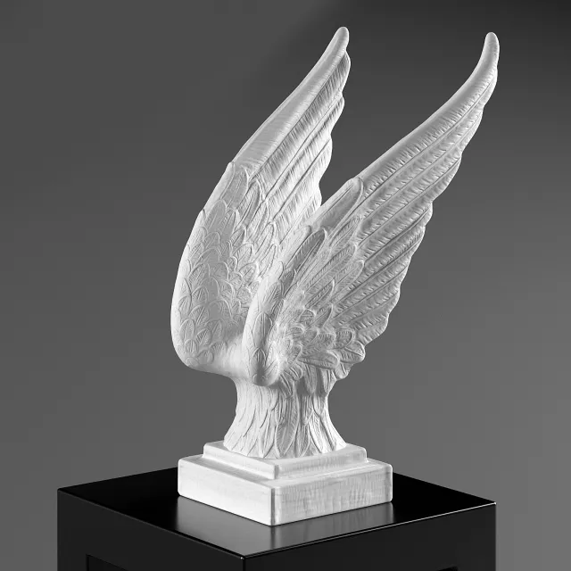 decoration - Angel's Wings 3D Model