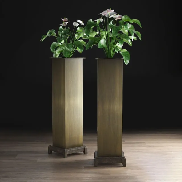 decoration - Anthurium 3D Model