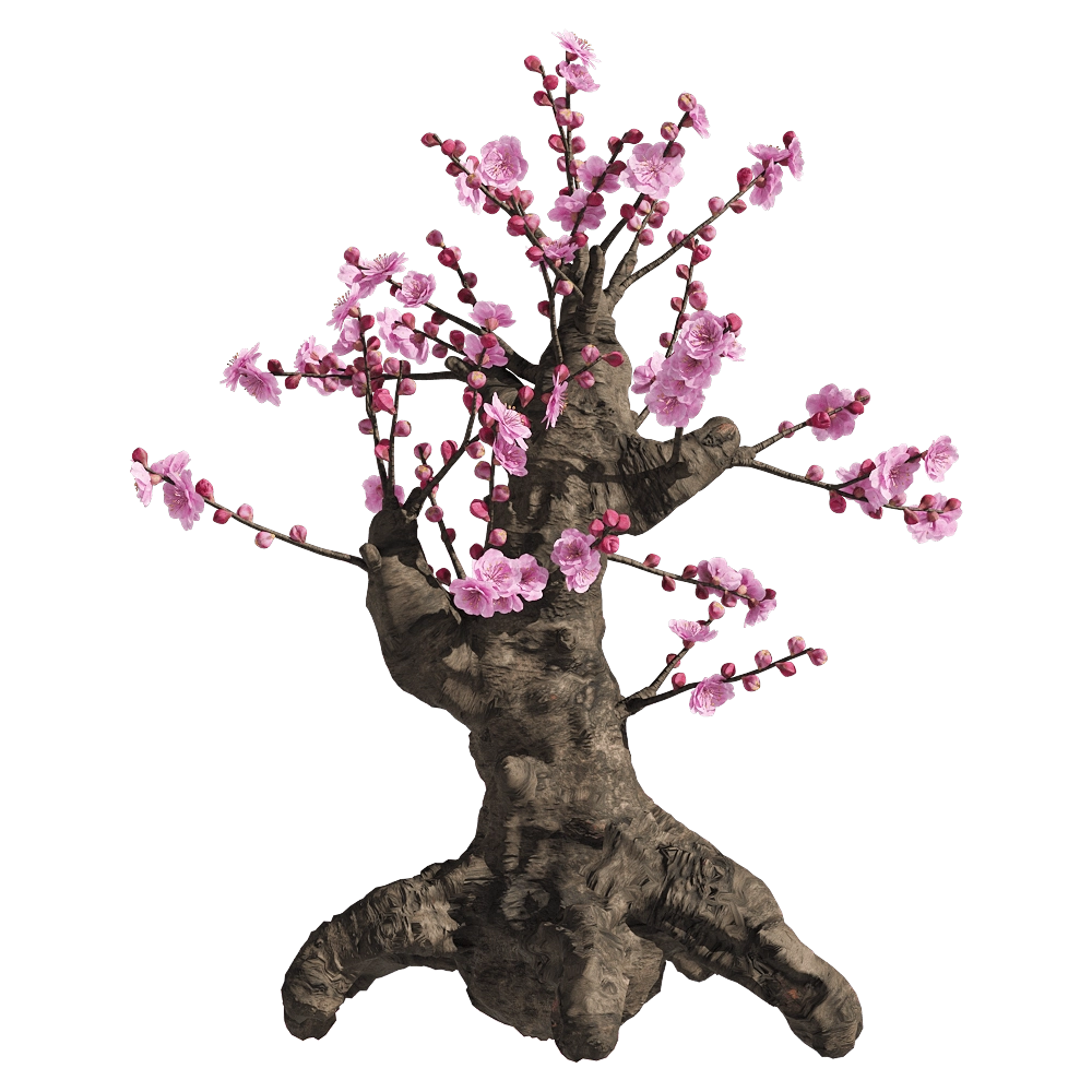 decoration - Armeniaca mume 1 3D Model