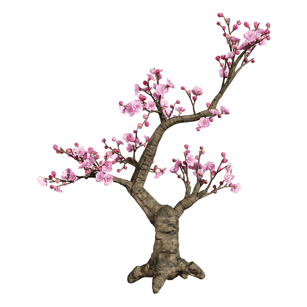 decoration - Armeniaca mume 3 3D Model