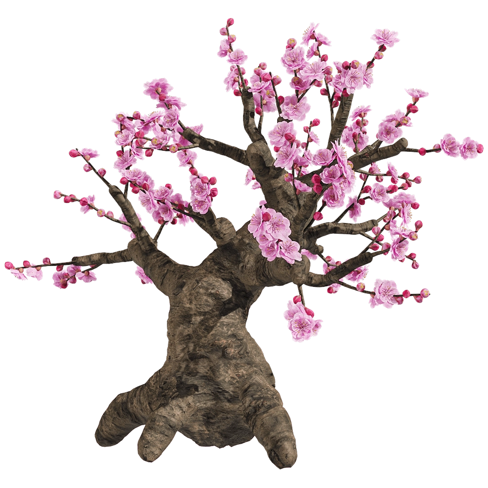 decoration - Armeniaca mume 4 3D Model
