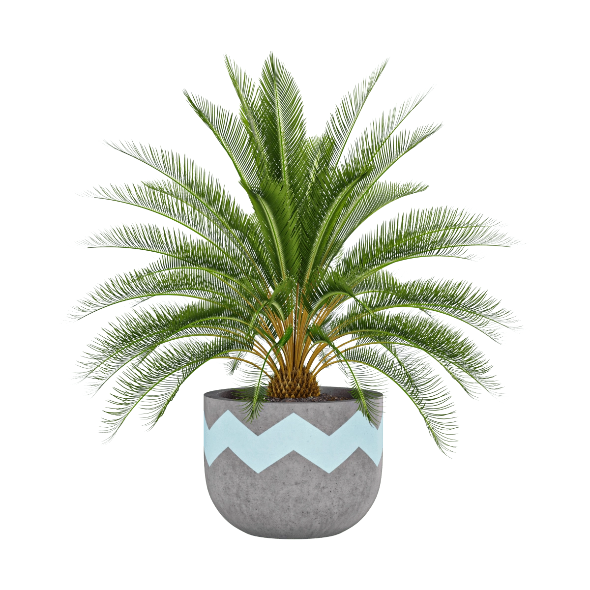 decoration - Artificial palm plant 3D Model
