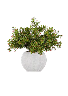 decoration - Artificial plant in a vase 3D Model