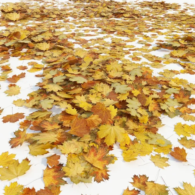decoration - Autumn maple leaves 3D Model