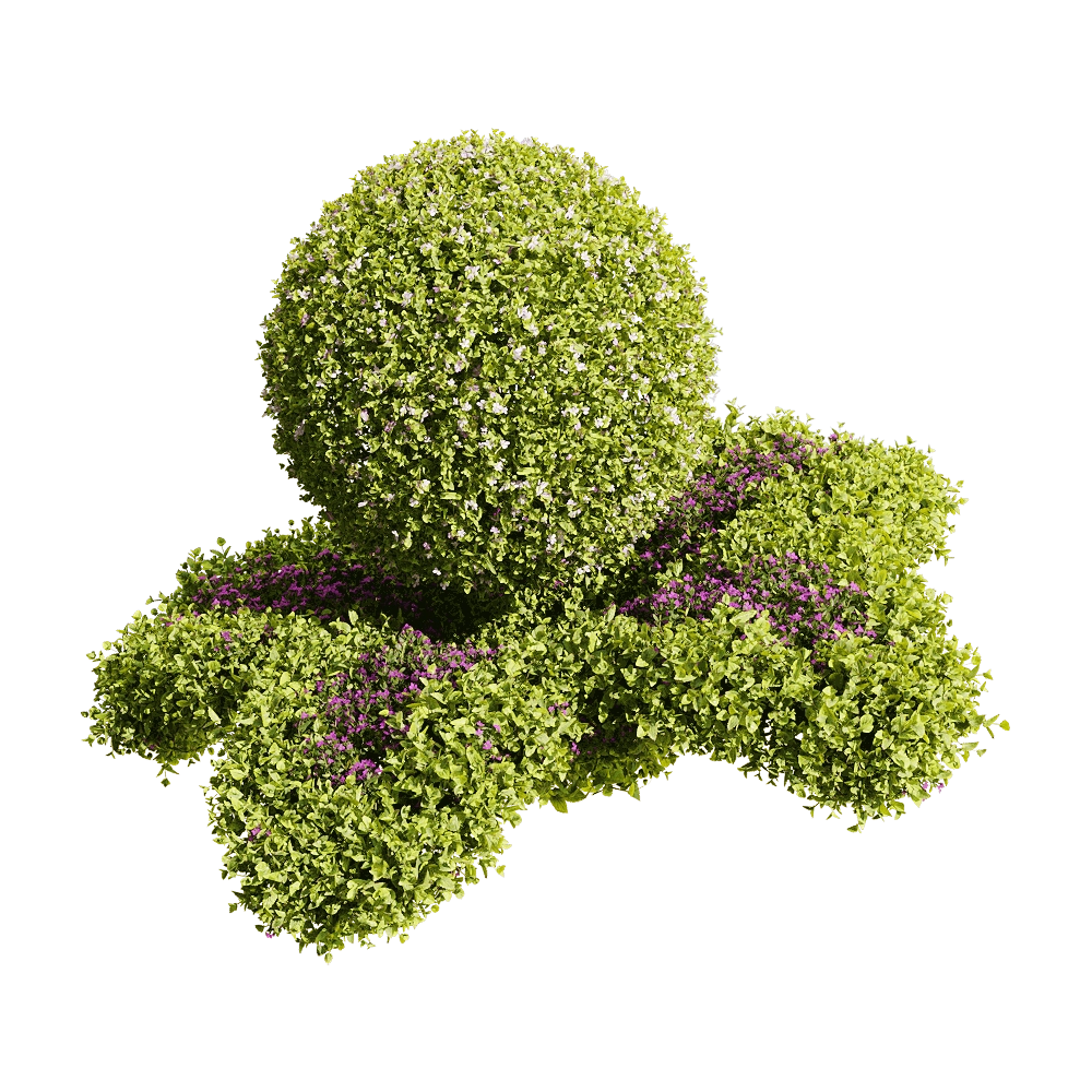 decoration - Bacopa diffusa 5 3D Model