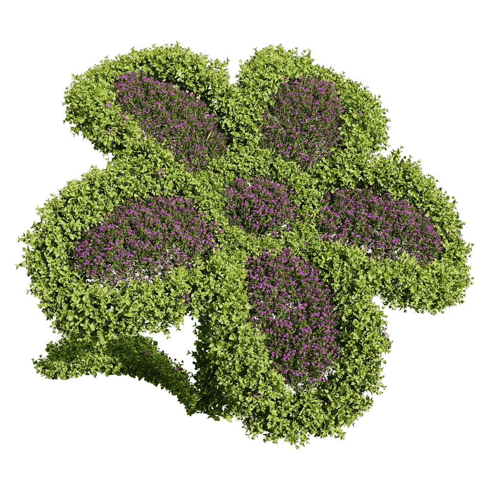 decoration - Bacopa diffusa 6 3D Model