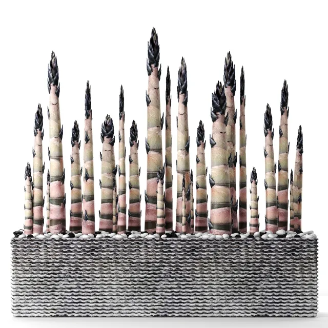 decoration - Bamboo 18 3D Model