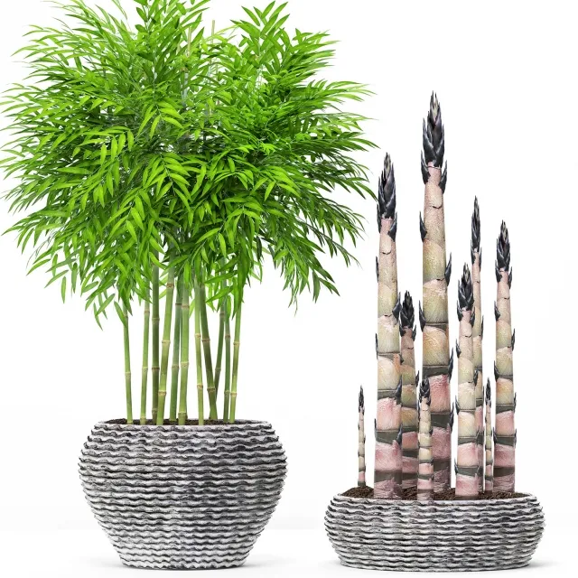decoration - Bamboo 19 3D Model