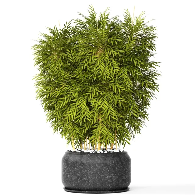 decoration - Bamboo 3D Model