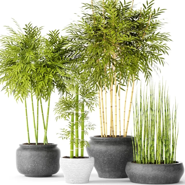 decoration - Bamboo and Equisetum 3D Model