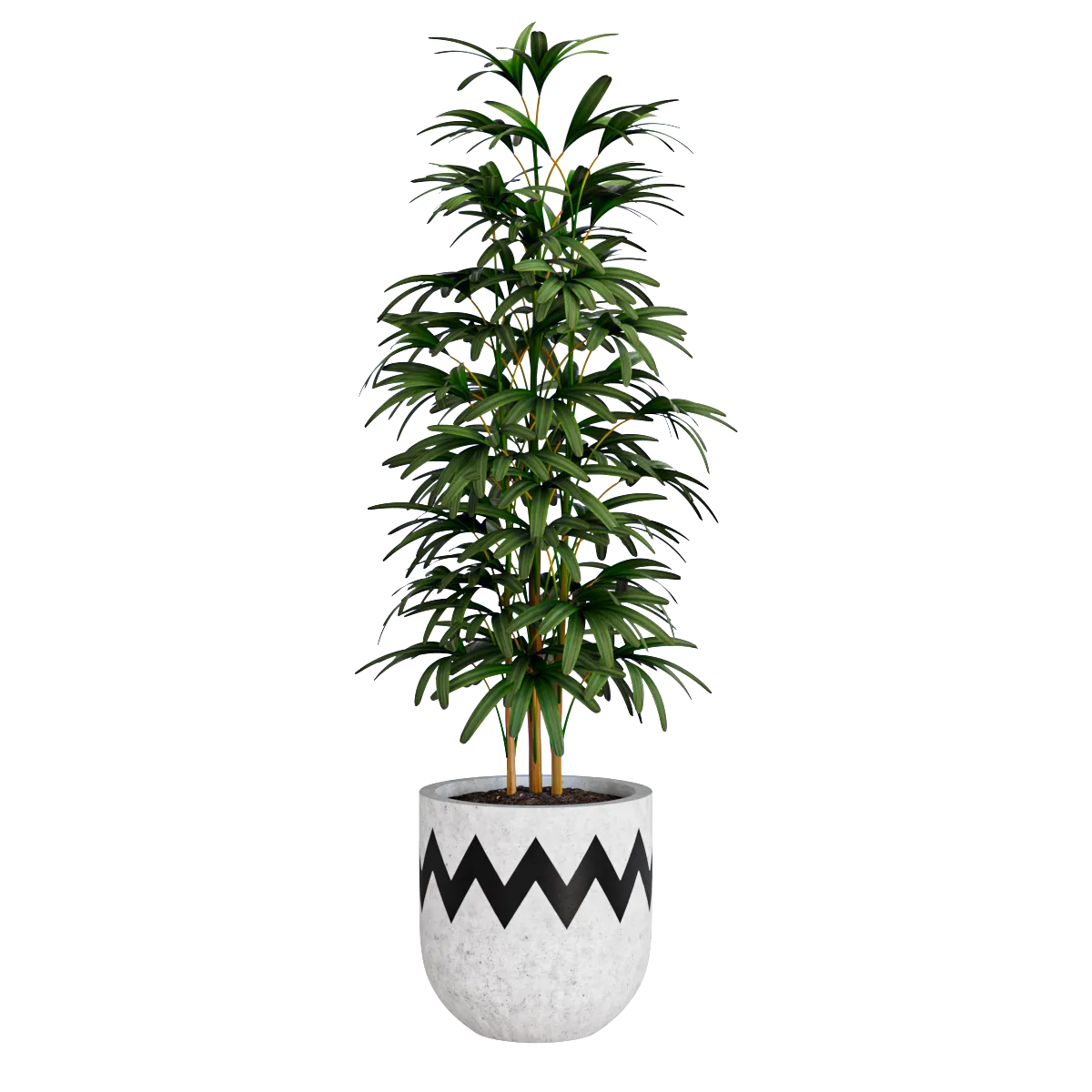 decoration - Bamboo plant 3D Model