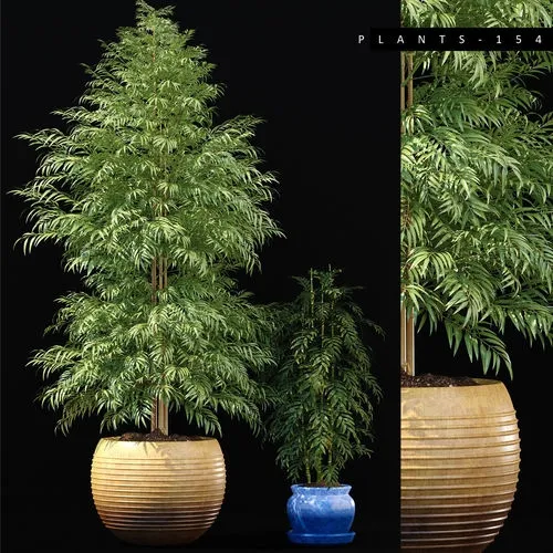 decoration - BAMBOO PLANTS 154 3D Model