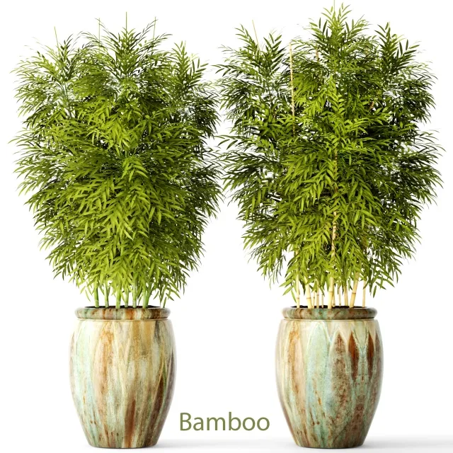 decoration - Bamboo set 2 3D Model
