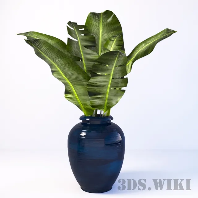 decoration - Banana leaves in a vase 3D Model