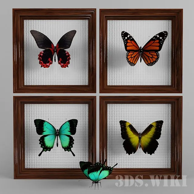 decoration - Beautiful butterflies 3D Model