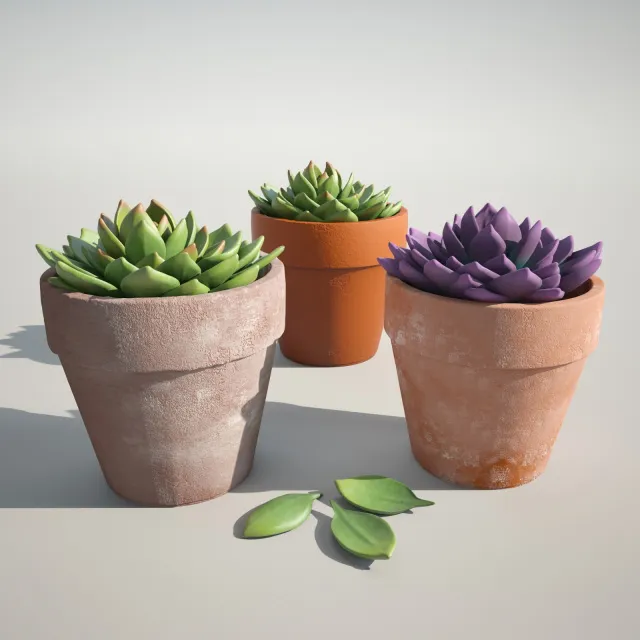 decoration - Beautiful decorative plants 3D Model