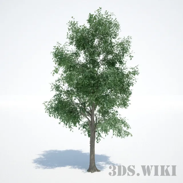 decoration - Beautiful decorative tree for the exterior 3D Model