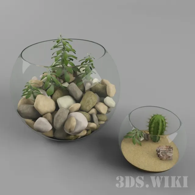 decoration - Beautiful florariums 3D Model