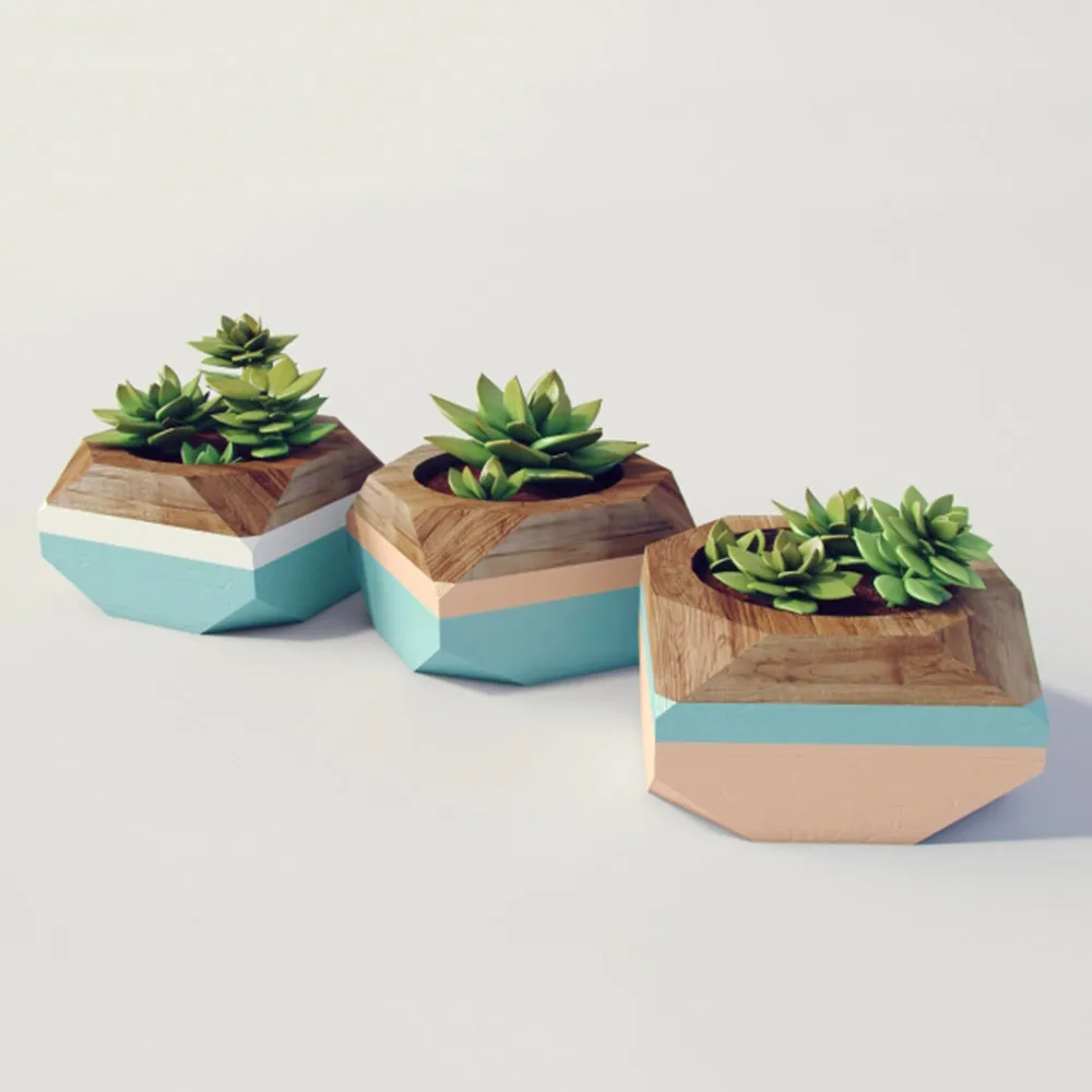 decoration - Beautiful flower- plant 3D Model