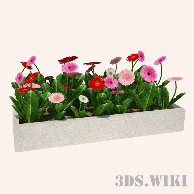 decoration - Beautiful flowers for the lawn 3D Model
