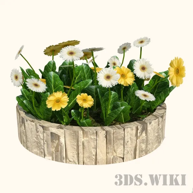 decoration - Beautiful flowers in a round wooden pot 3D Model