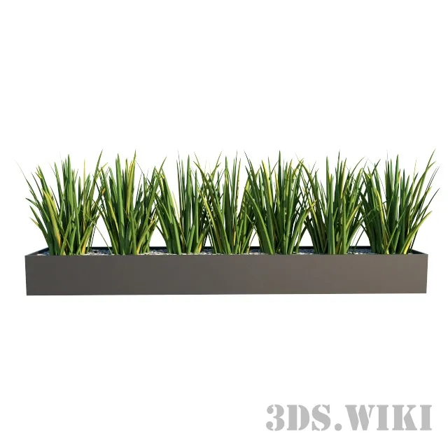 decoration - Beautiful indoor plants 3D Model