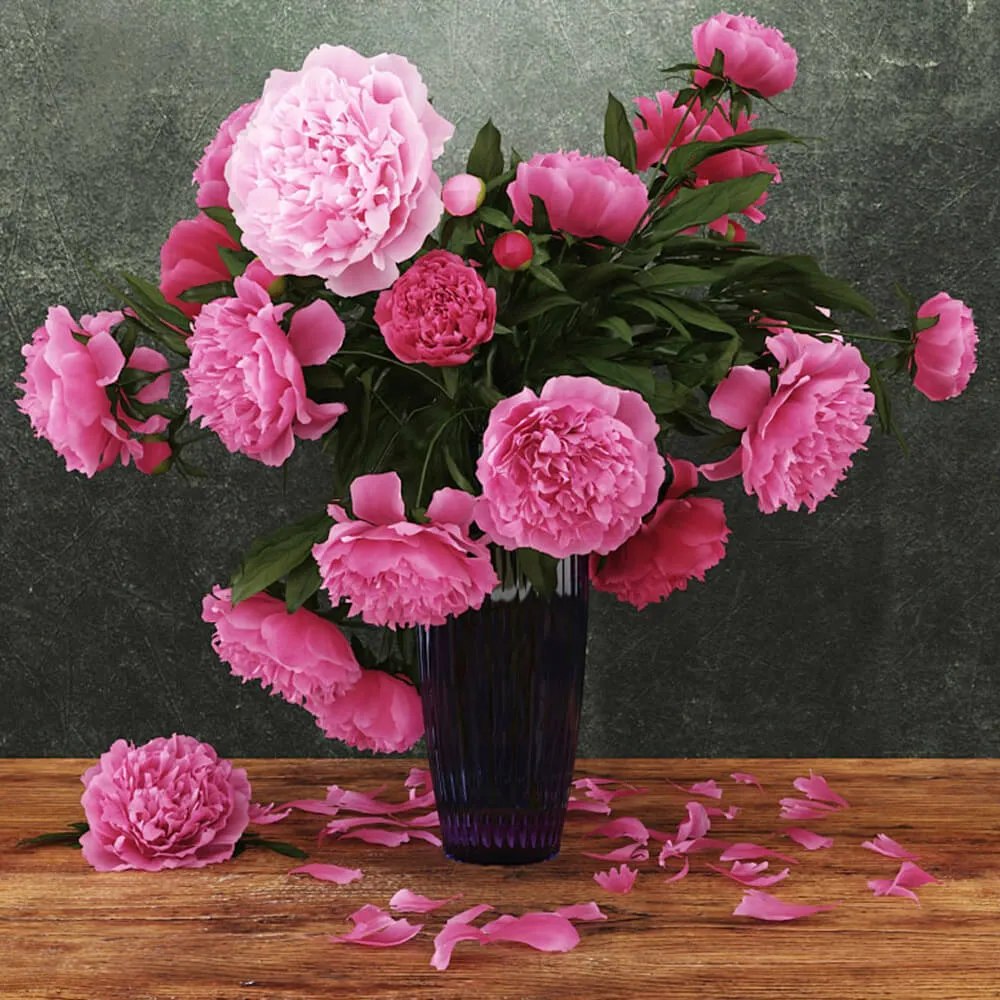 decoration - Beautiful pink peonies 3D Model