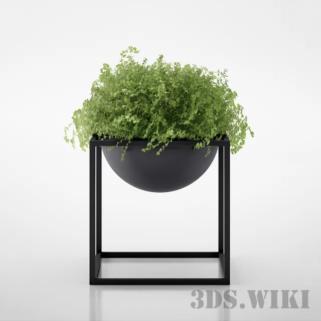 decoration - Beautiful plant - bush 3D Model