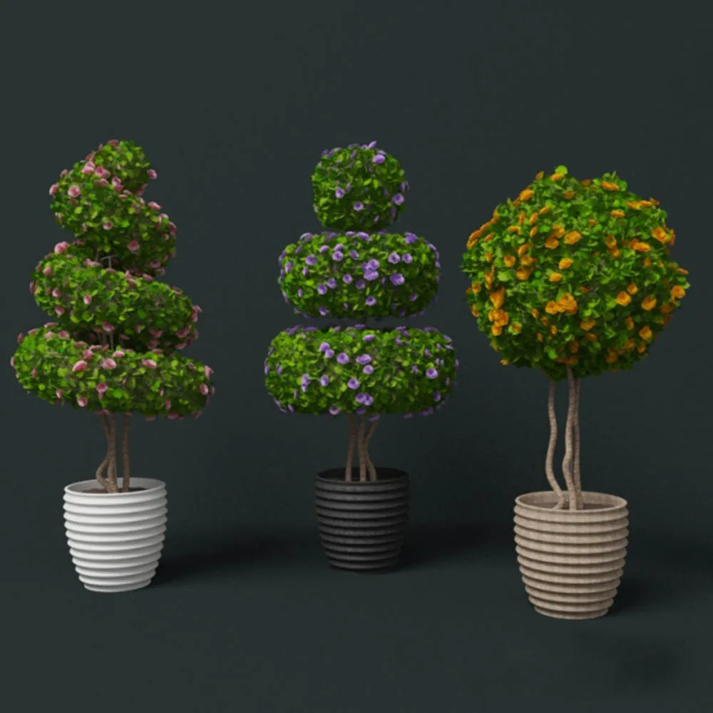 decoration - Beautiful plants - flowers 3D Model