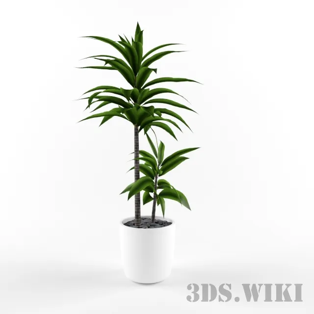 decoration - Beautiful plants in a pot 3D Model