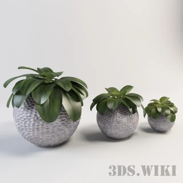 decoration - Beautiful plants in beautiful vases 3D Model