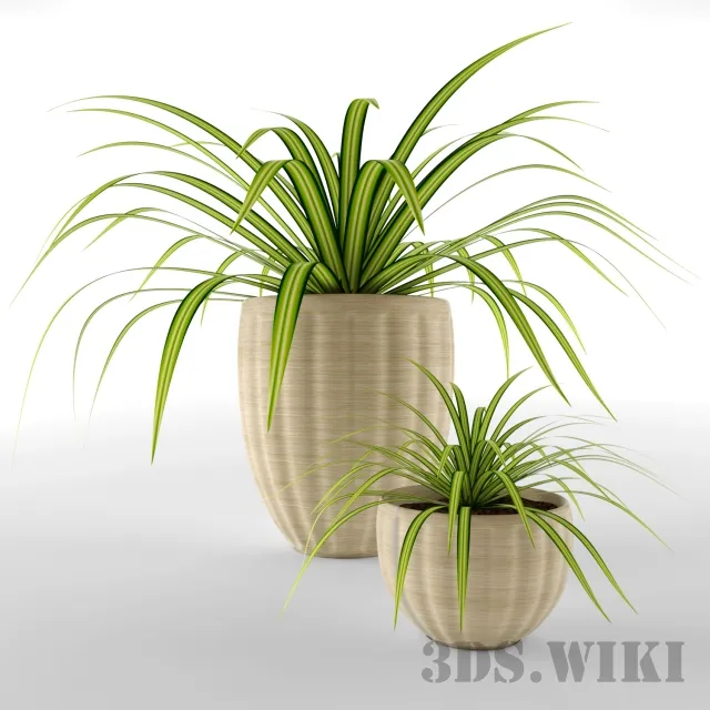 decoration - Beautiful Potted Plant 3D Model