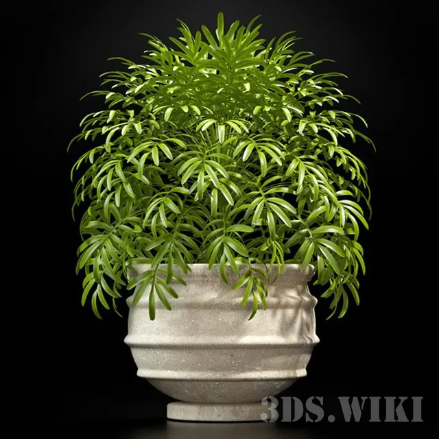 decoration - Beautiful potted plant 3D Model