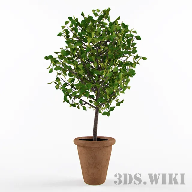 decoration - Beautiful tree plant 3D Model