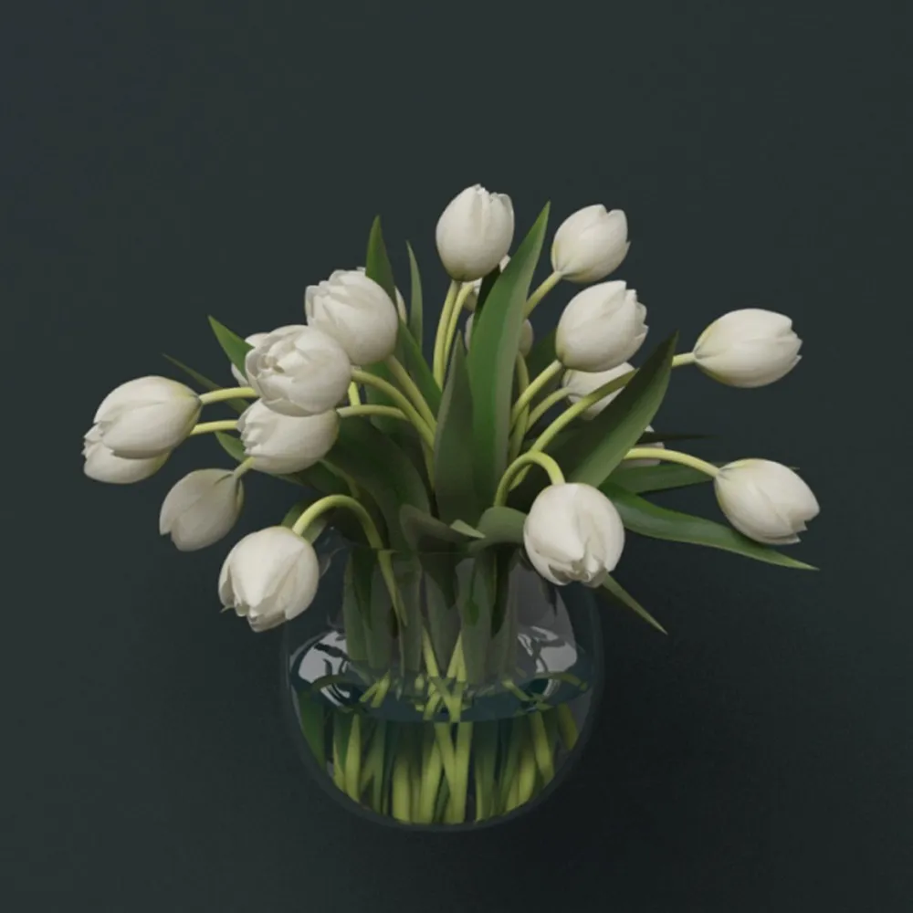 decoration - Beautiful white tulips 3D Model