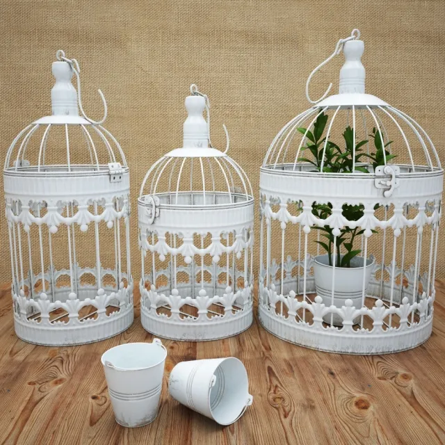 decoration - Bird Cage 3D Model