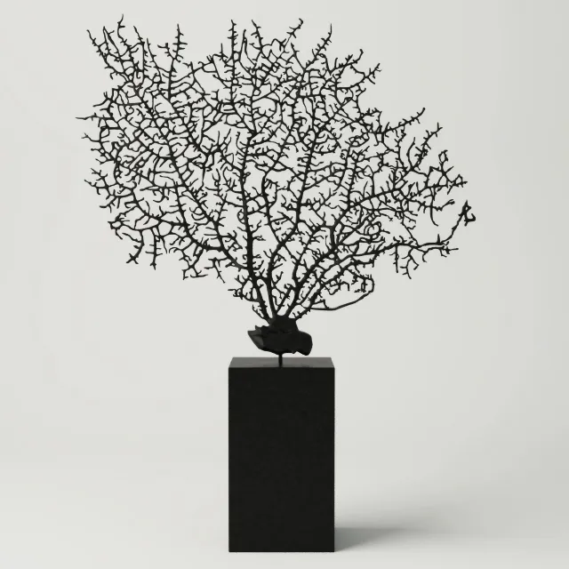 decoration - Black Gorgonia decoration 3D Model