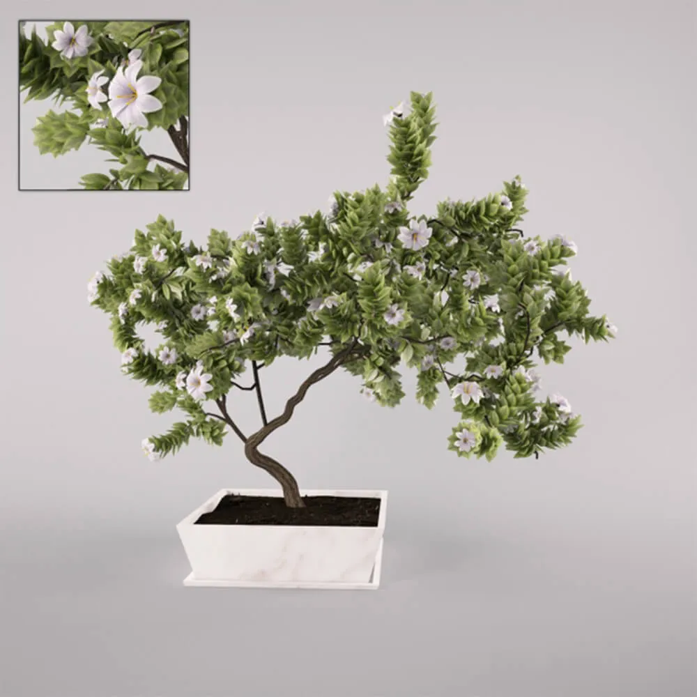 decoration - Blooming tree 3D Model