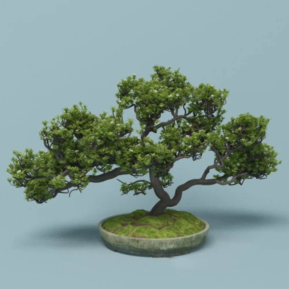 decoration - Bonsai 3D Model