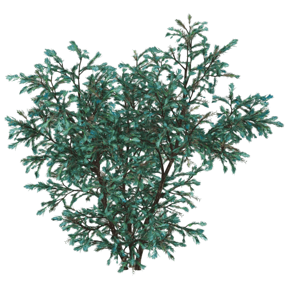 decoration - Boulevard Cypress 01 02 3D Model