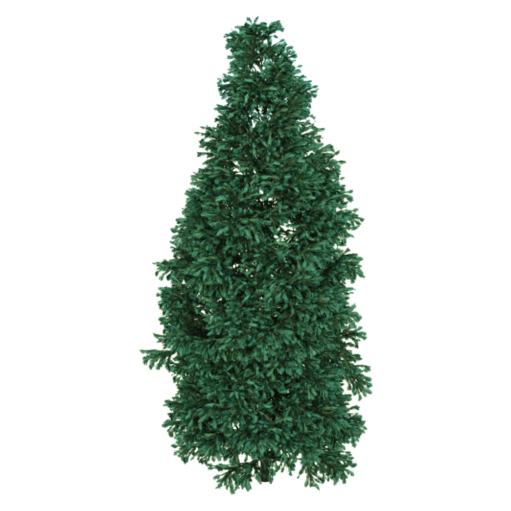 decoration - Boulevard Cypress 01 03 3D Model