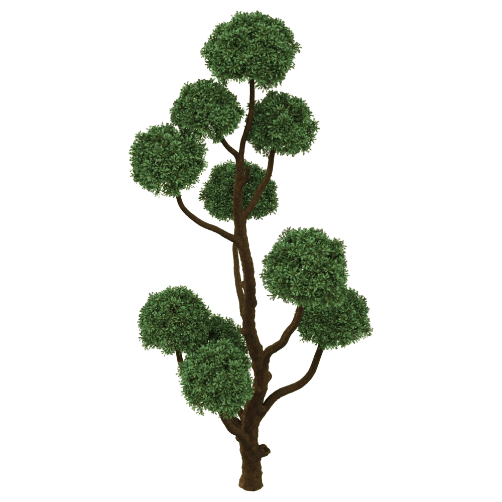decoration - Boulevard Cypress 01 05 3D Model