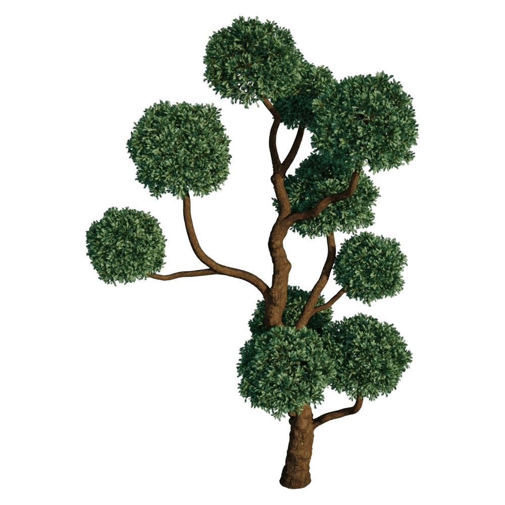 decoration - Boulevard Cypress 01 06 3D Model