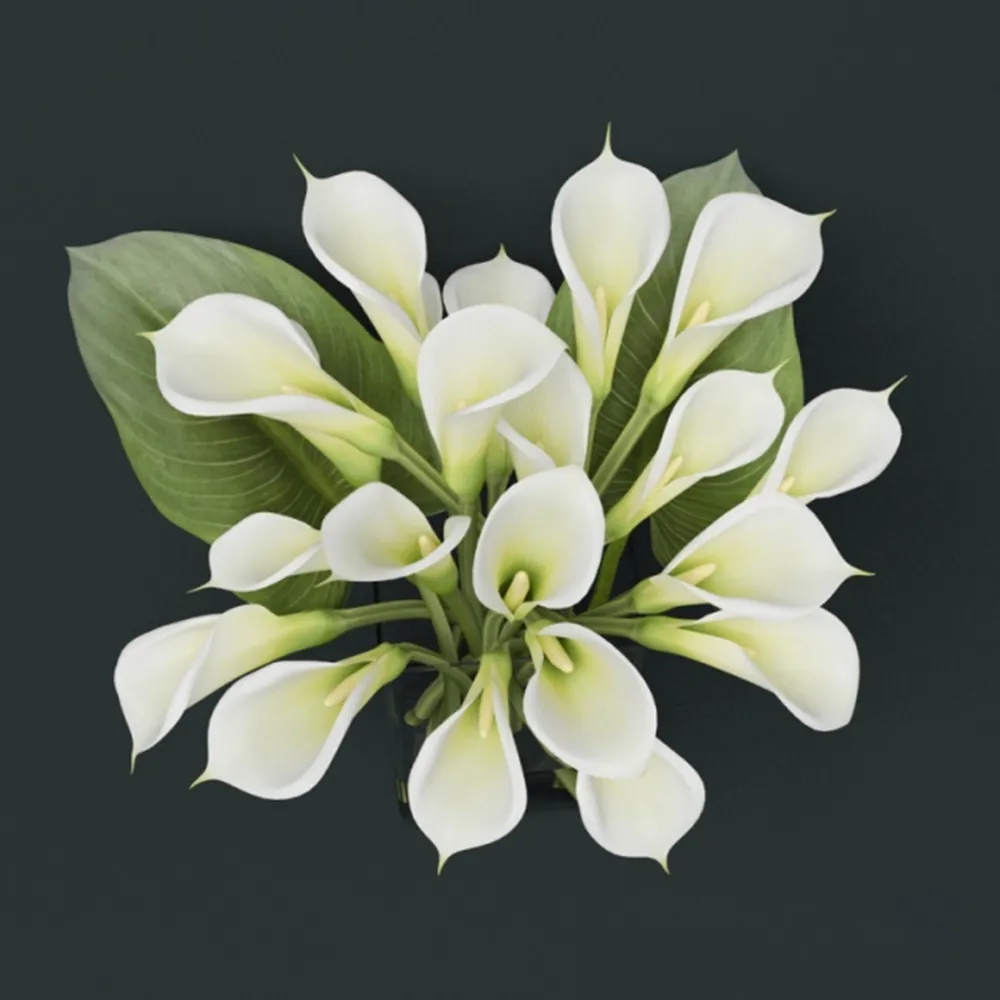decoration - Bouquet of callas in a vase 3D Model