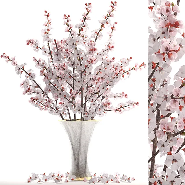 decoration - Bouquet of cherry blossoms 3D Model