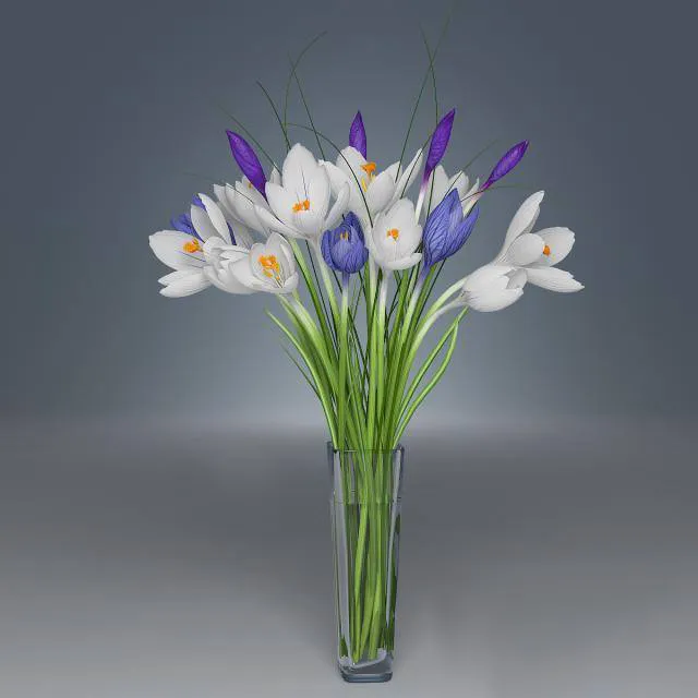 decoration - Bouquet of crocus 7 3D Model