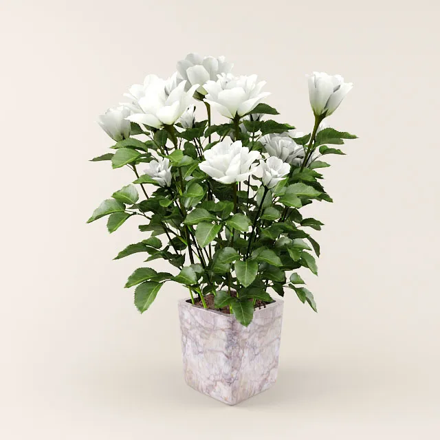 decoration - Bouquet of flowers 75 3D Model