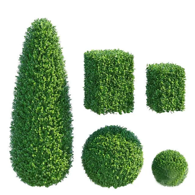 decoration - Boxwood 6 3D Model