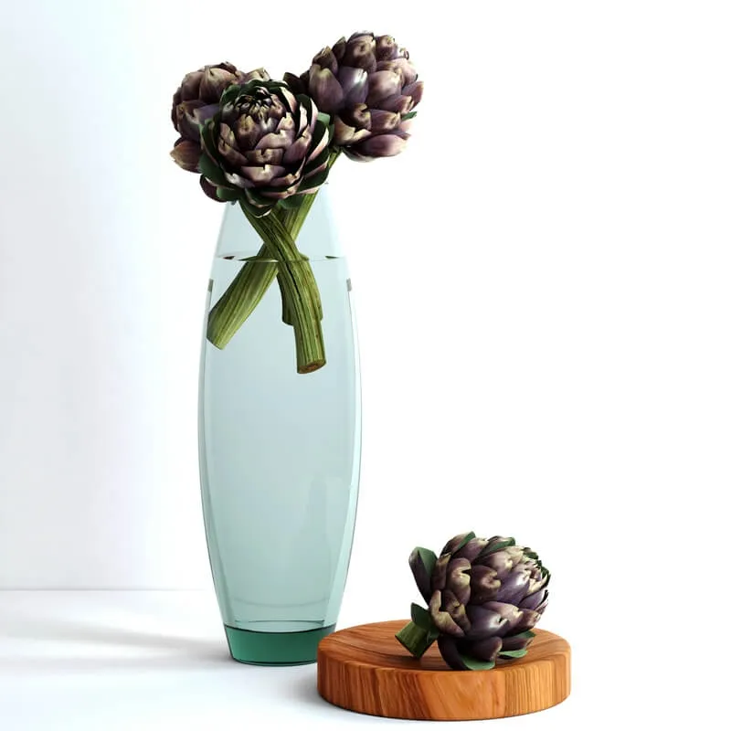 decoration - Burgundy Artichokes 01 3D Model