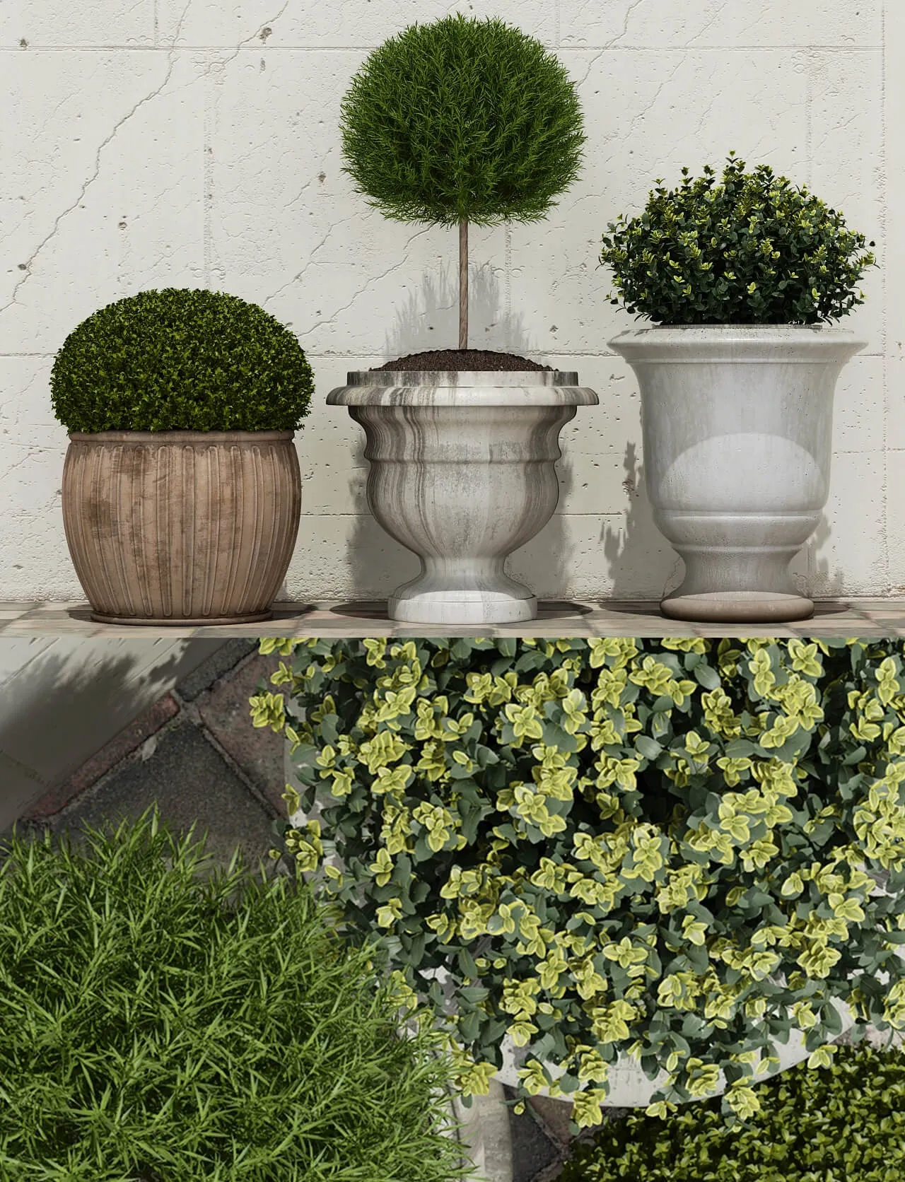 decoration - Bushes 01 3D Model